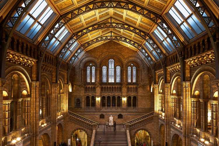 Natural History Museum Natural History Museum - zsah