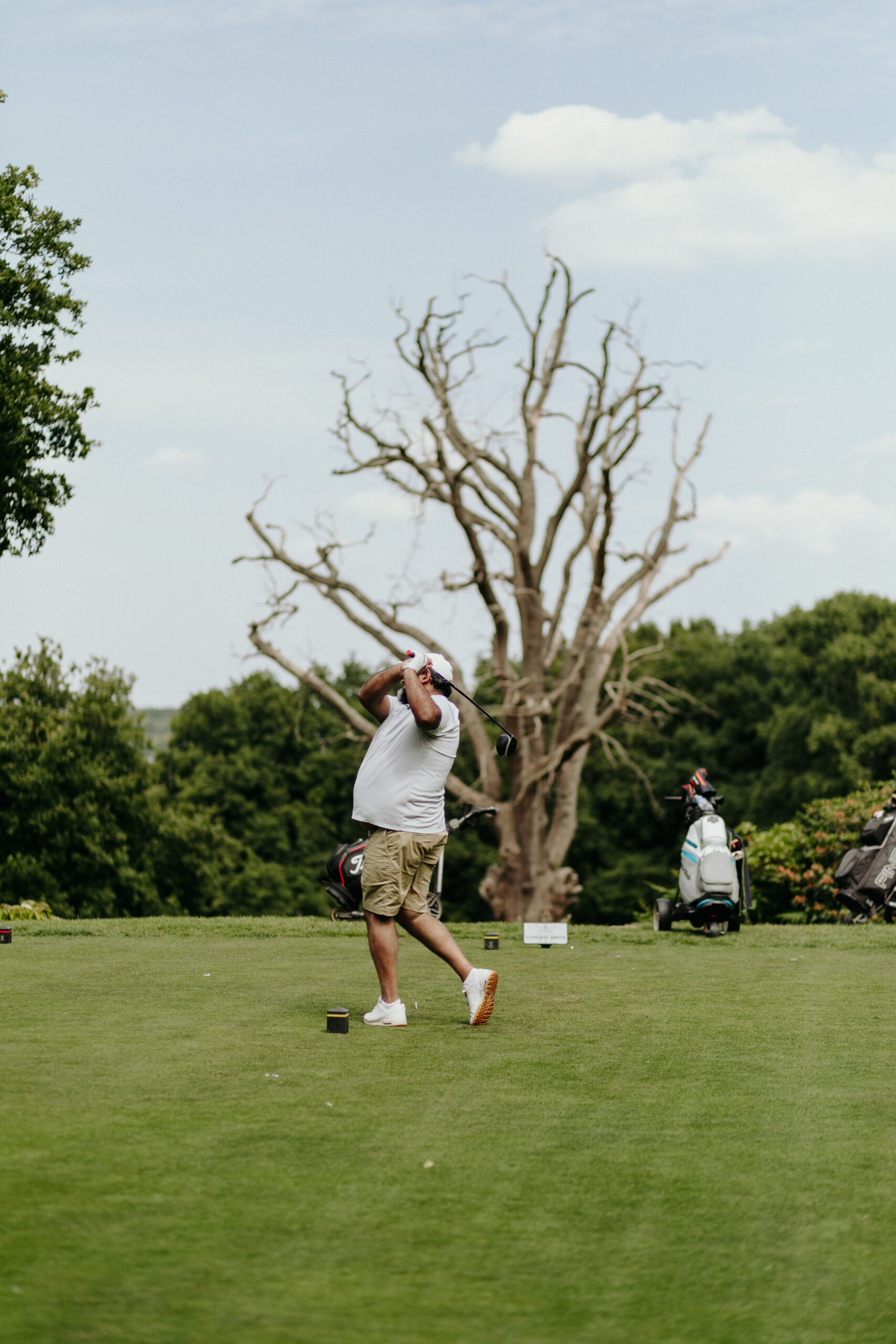 golf_pic22_swingwithtree_standing A man taking a golf swing by a tree